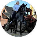 Ana Ranković profile picture